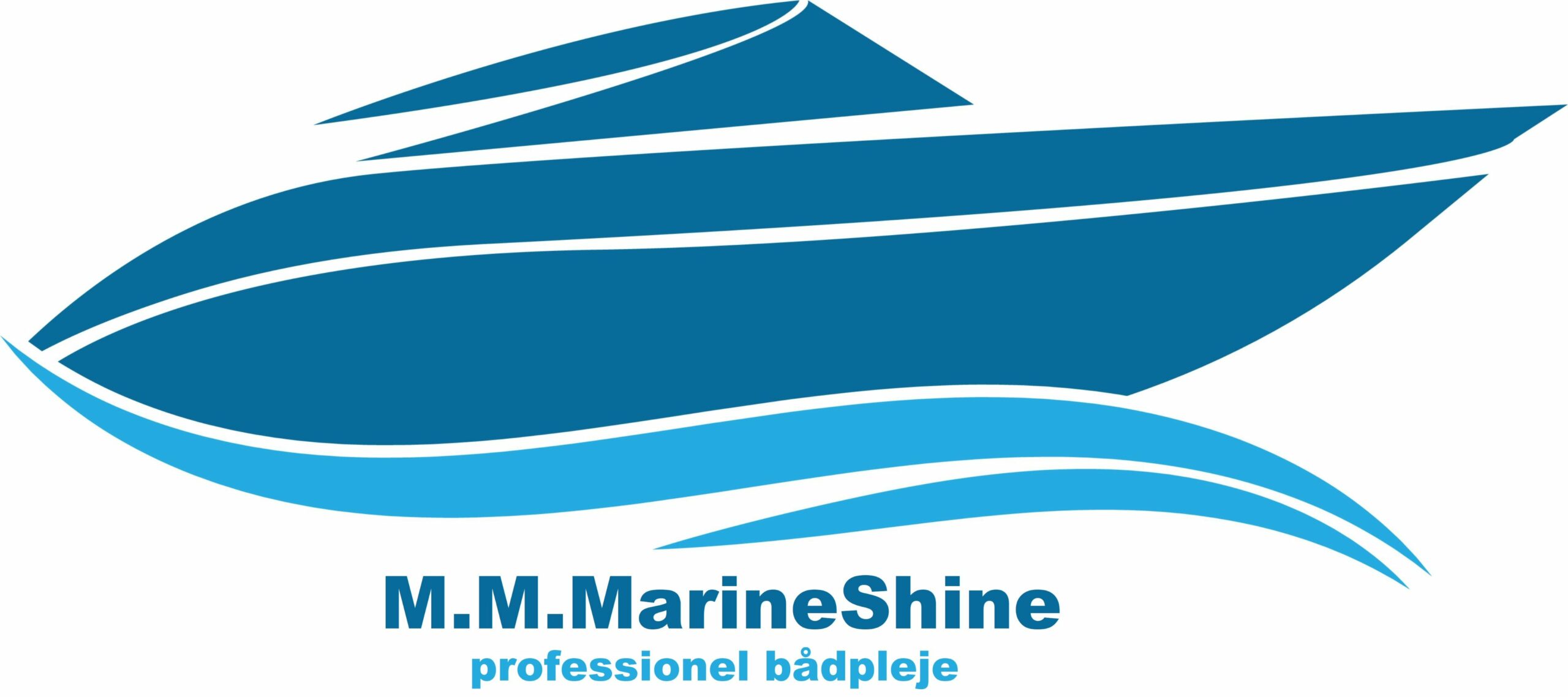 Marineshine v1 scaled bilvask